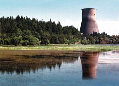 The True Cost of Nuclear Power Image